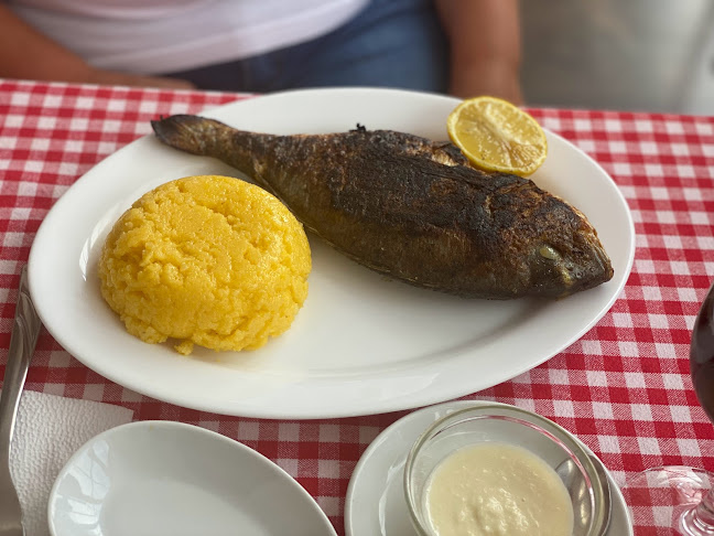 Comentarii opinii despre Neacşu