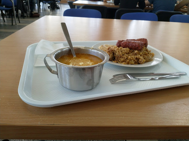Opinii despre Cantina Studențească Observator în Cluj-Napoca - Gastronomie și ospitalitate