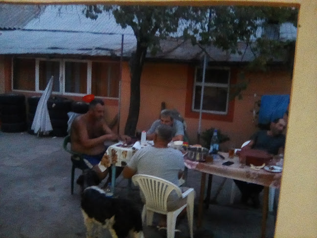 Comentarii opinii despre SC Prod Bal SRL