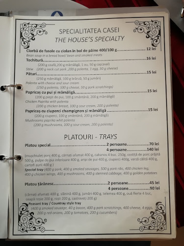 Pensiune - Restaurant - Pizzerie 2 Pauni - Borsa