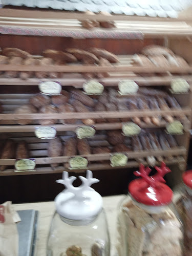 Bulevardul Regele Mihai I al României 22, Iași 700164