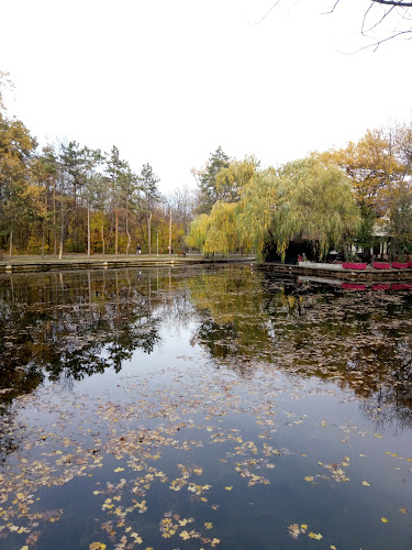 New Generation - Gastronomie și ospitalitate