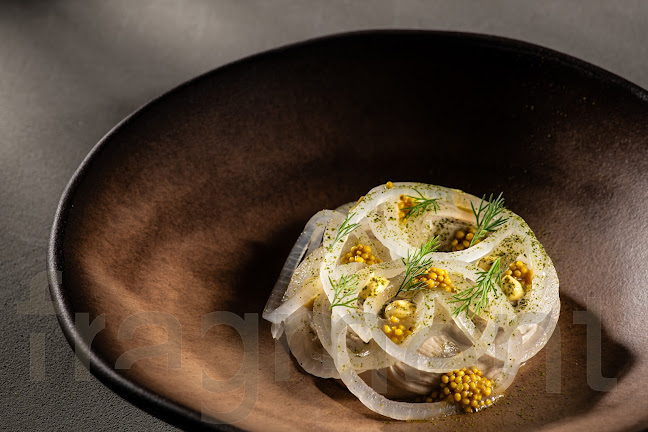 Comentarii opinii despre Fragment