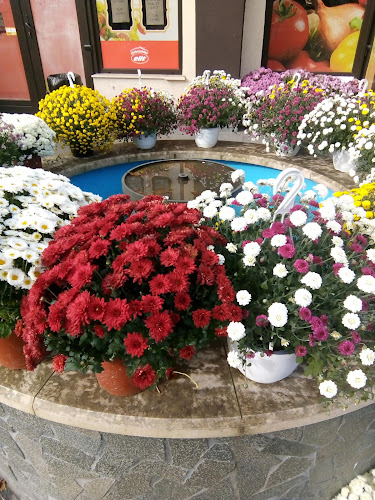 Happy Bread - Hunedoara