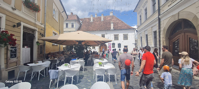 Bistro Viena - Gastronomie și ospitalitate