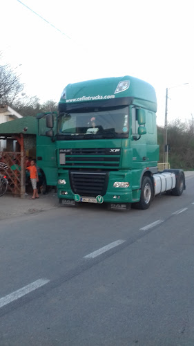 Opinii despre Evenimente Casa COstea în Izvoru Bârzii - Gastronomie și ospitalitate