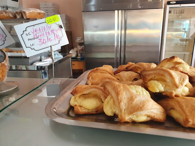 Bloc 367, Bulevardul Republicii 367, Vaslui 730223