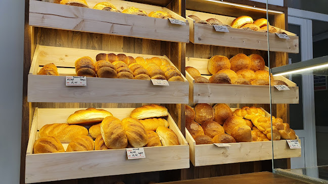 Strada Vasile Lucaciu 10, Timișoara 300254