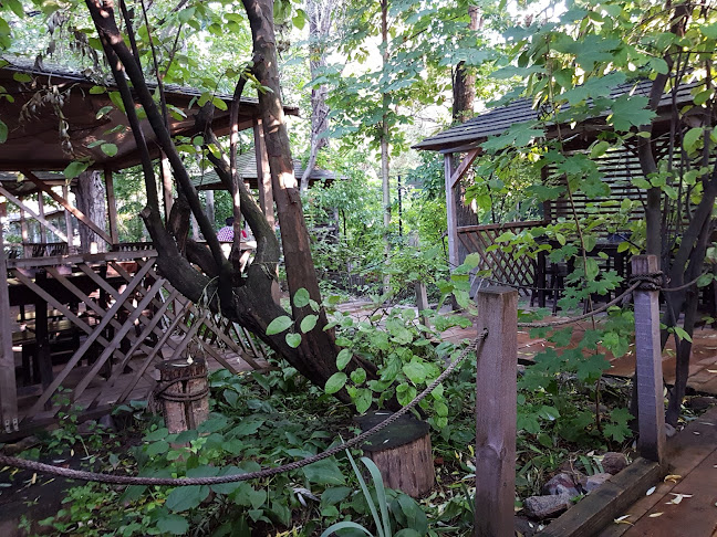 Comentarii opinii despre Crama Terente