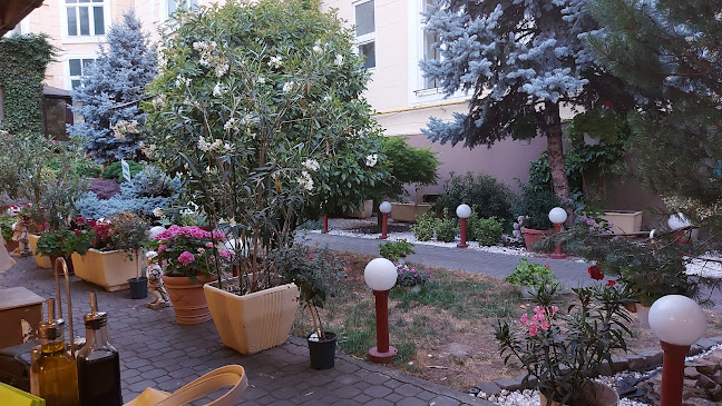 Terasa Aradul - Gastronomie și ospitalitate