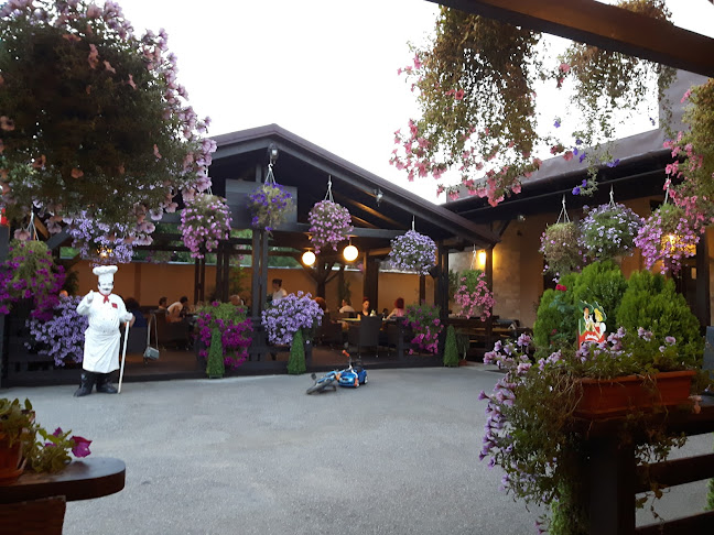 Restaurant Pizzerie Satu Mare - Satu Mare