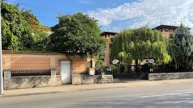 Bulevardul Carol I 29, Drobeta-Turnu Severin