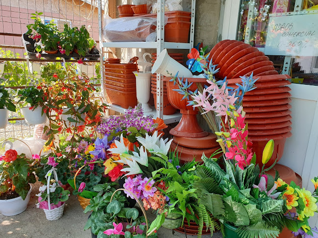 Opinii despre Florăria Vărbilău în Vărbilău - Gastronomie și ospitalitate