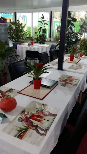 Opinii despre Restaurant Parc în Drăgănești-Vlașca - Gastronomie și ospitalitate