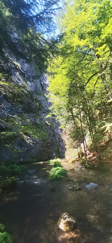 Opinii despre Pensiunea La Marian în Gârda de Sus - Gastronomie și ospitalitate