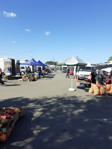 Strada Doctor Dimitrie Gerota 34, Craiova