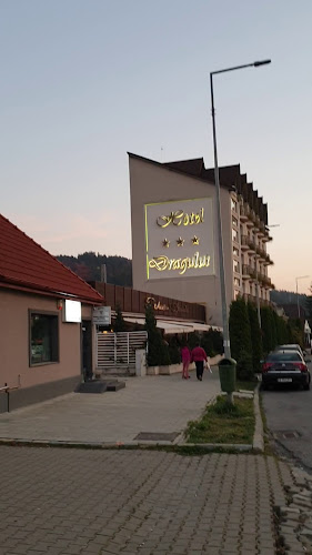 Comentarii opinii despre Dragului