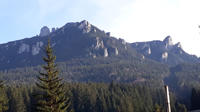 Comentarii opinii despre La Octav