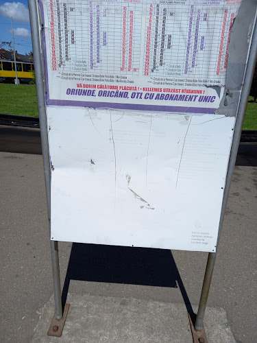 Str. Nufărului 85, Oradea 410576