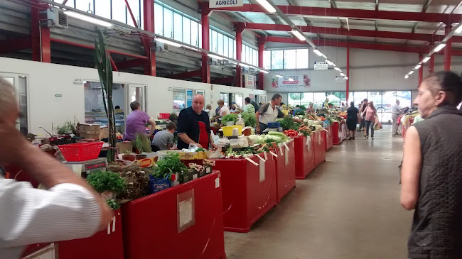 Strada Albac, Cluj-Napoca