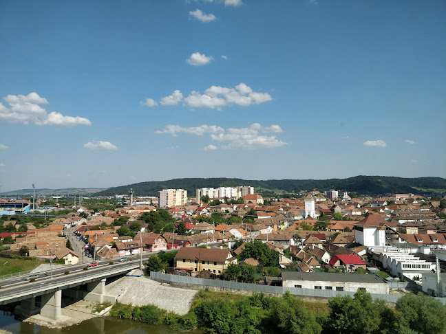 Opinii despre Piata Agroalimentara în Mediaș - Gastronomie și ospitalitate