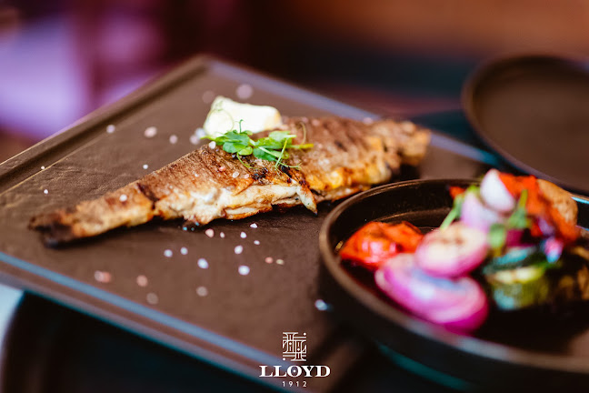 Palatul Lloyd, Piața Victoriei 2, Timișoara 300006