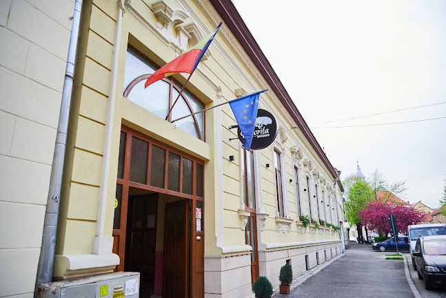 Strada Mihai Viteazul 3, Satu Mare 440037