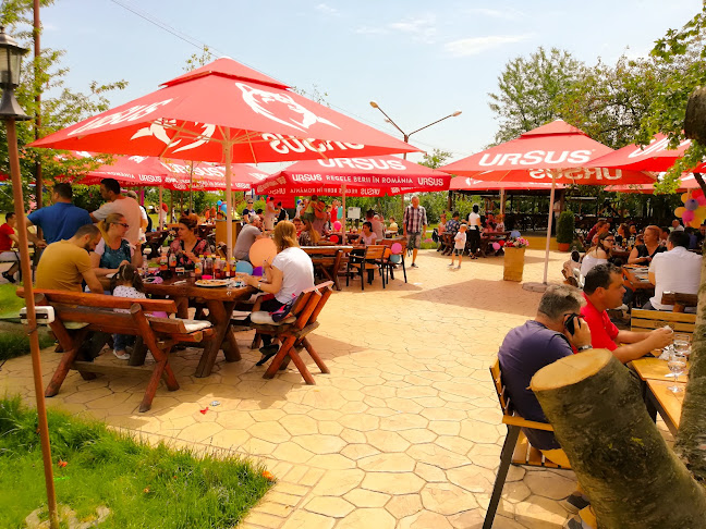 Restaurant "Donaris" Brăila - Gastronomie și ospitalitate