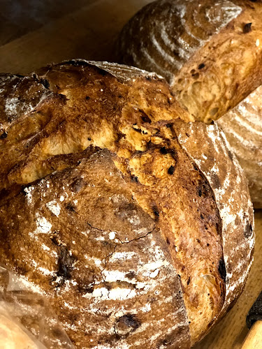 Comentarii opinii despre Maia Pan