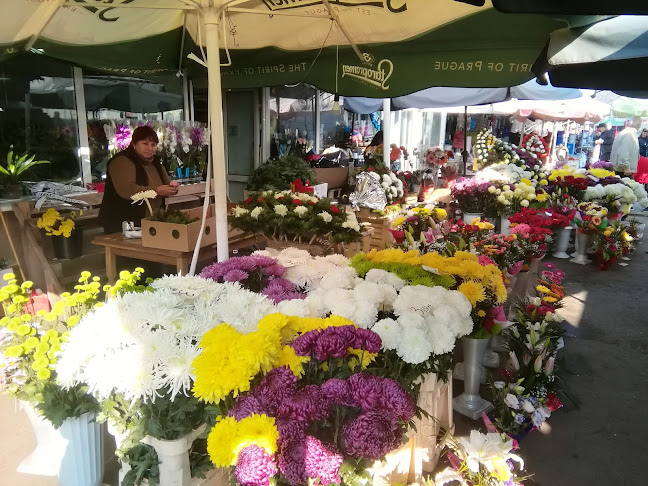 Piata De Flori - Gastronomie și ospitalitate