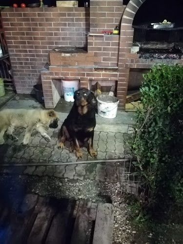 Strada Prunilor, Mihăilești 077070