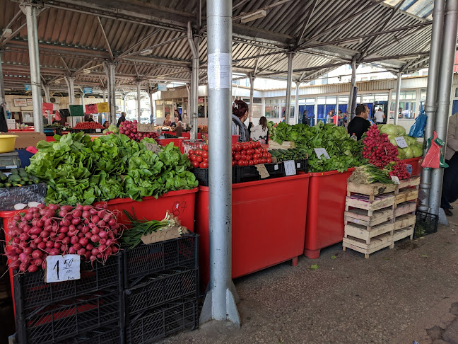 Opinii despre Piaţa Agroalimentară Centrală în Alexandria - Gastronomie și ospitalitate