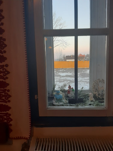 Opinii despre Hanul Basa Fogadó în Borzont - Gastronomie și ospitalitate