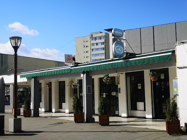 Alzo - Gastronomie și ospitalitate