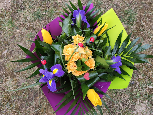 Comentarii opinii despre Floraria Anotimp