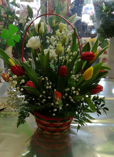 Opinii despre FLORĂRIA DECO în Bușteni - Gastronomie și ospitalitate