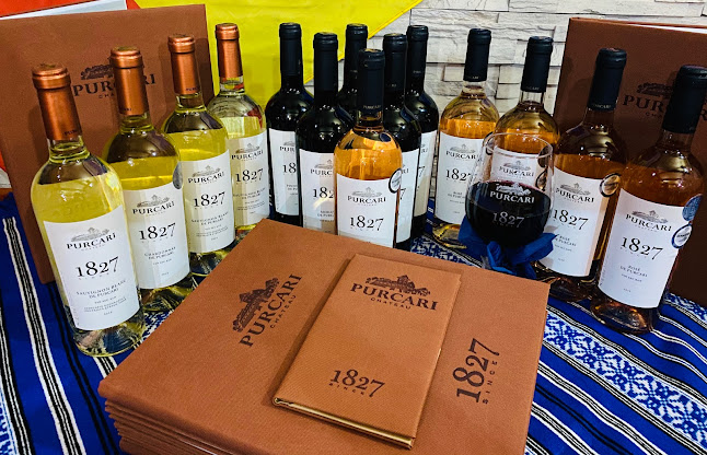 Comentarii opinii despre Restaurant Sura Dacilor Arad