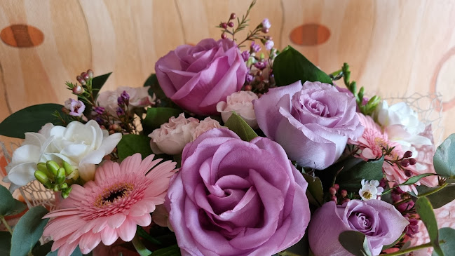 PicoBelo Florarie Fetesti - Gastronomie și ospitalitate