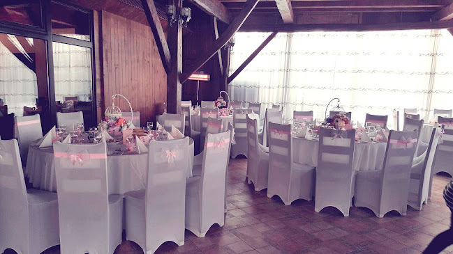 Restaurant Parc ''Șura lui Ilea'' - Gastronomie și ospitalitate