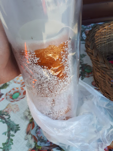 David Kurtos Kalacs - Gastronomie și ospitalitate