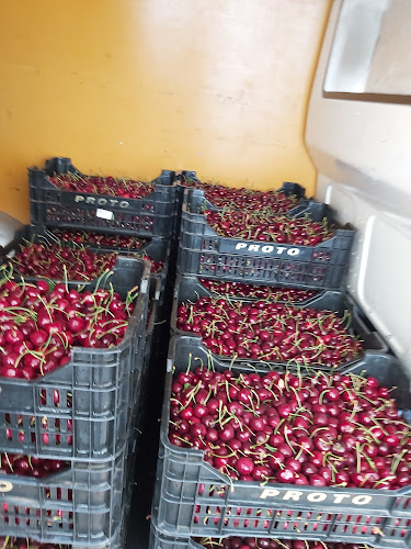 Piața de Gros - Gastronomie și ospitalitate