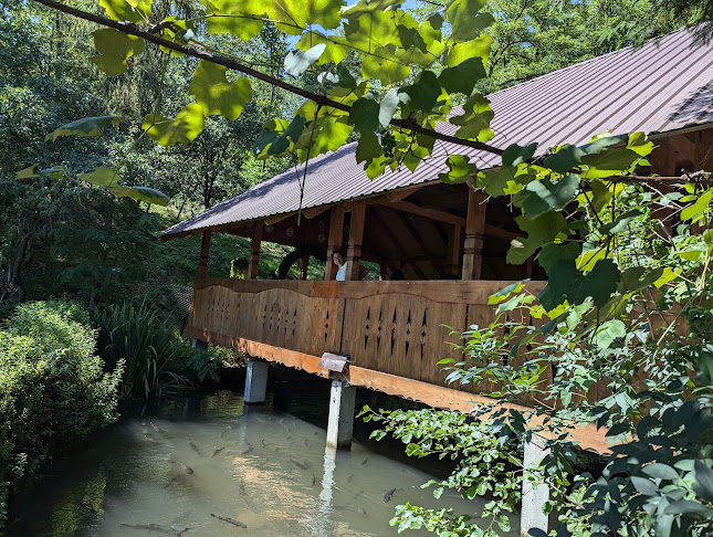 Comentarii opinii despre Complex Pastravul