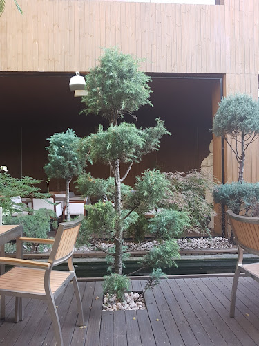 Strada Smochinului 3, Drobeta-Turnu Severin 220113