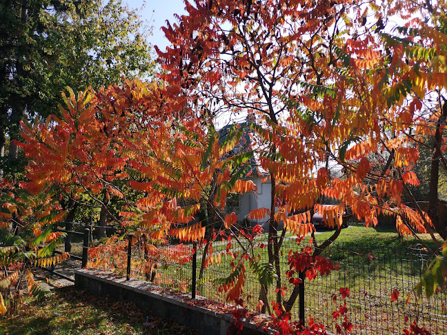 Strada Libertății 11, Breaza de Jos 105400
