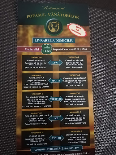 DN1A 194, Gura Vitioarei 107305