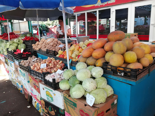 Comentarii opinii despre Piața mică