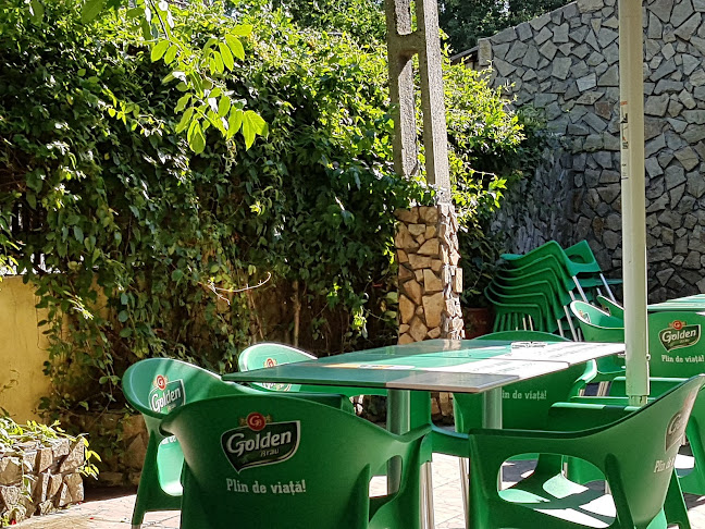 Restaurant Oltenia - Gastronomie și ospitalitate