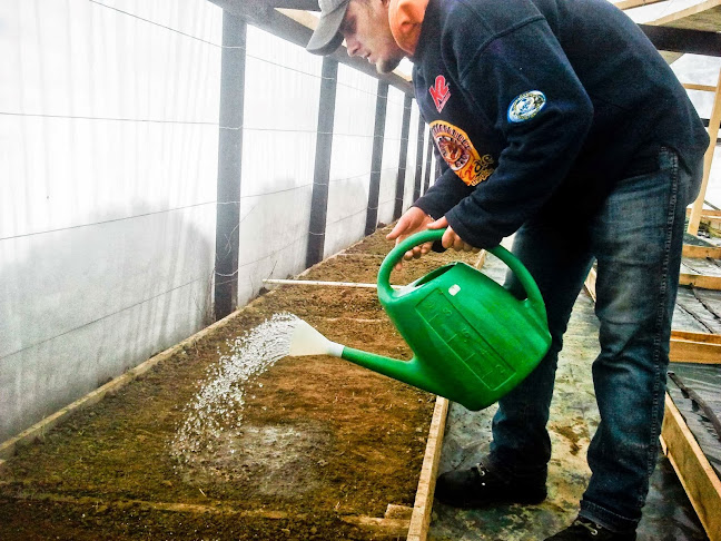 Comentarii opinii despre Ferma din Ardeal