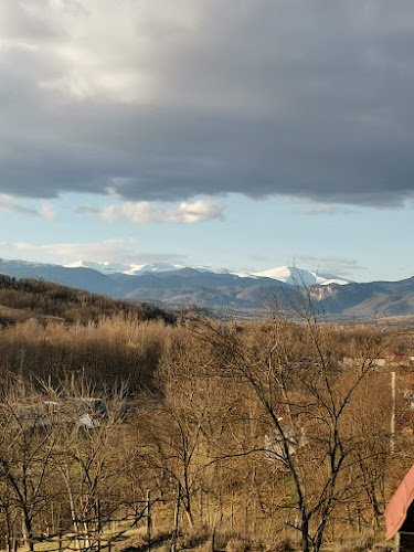 Târgul Alimpeşti - Alimpeşti