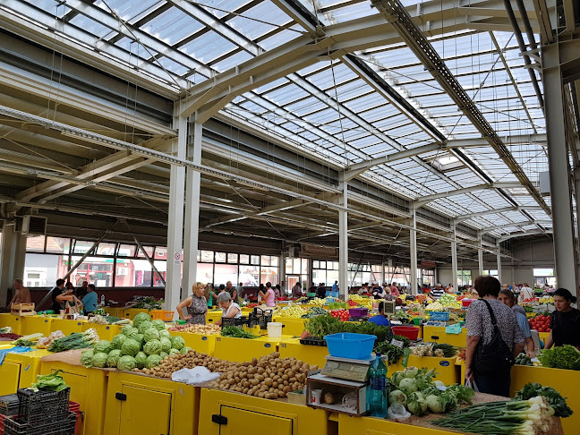 Splaiul Morilor 1, Lugoj 305500